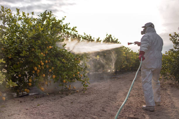 Wildlife Control Services in Kershaw, SC