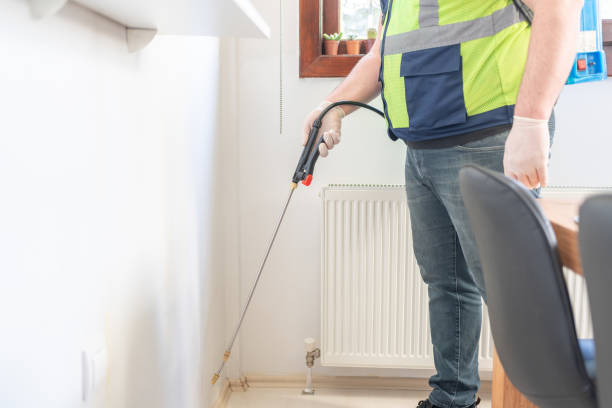 Wasp Removal Services in Kershaw, SC