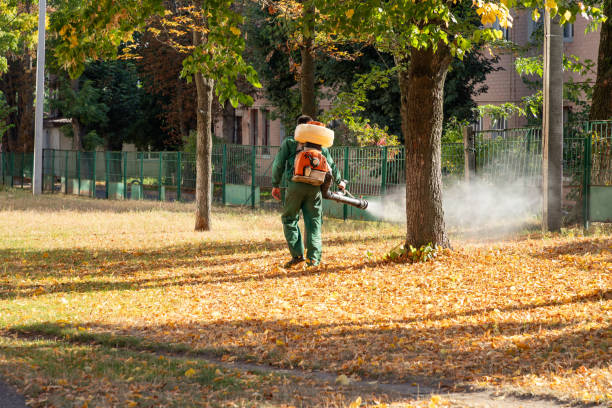 Best Flea Control Services  in Kershaw, SC