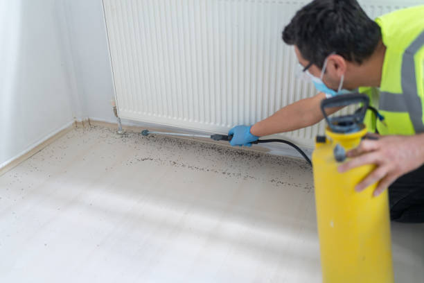Best Ant Control Services  in Kershaw, SC